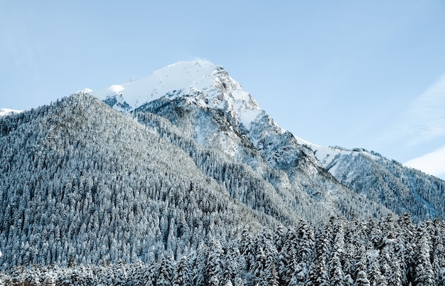 Met sneeuw bedekte bergtoppen