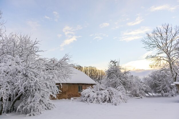 Met sneeuw bedekte boomtakken op een winterdag met een rotshuis en een elektrische paal tegen een blauw