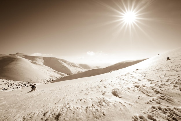 Met sneeuw bedekte dennenbomen op de achtergrond van bergtoppen Panoramisch uitzicht op het pittoreske besneeuwde winterlandschap