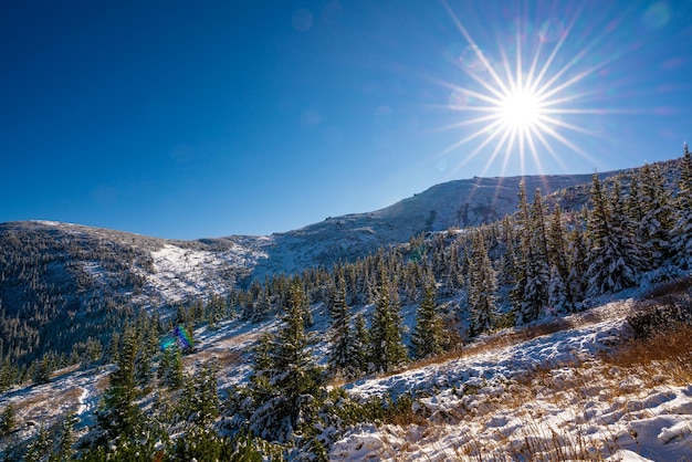 Met sneeuw bedekte Karpaten en heuvels met enorme sneeuwbanken van sneeuwwitte sneeuw en groenblijvende kerstbomen verlicht door de felle koude zon