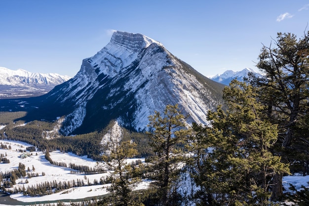 Met sneeuw bedekte Mount Rundle-bergketen met besneeuwd bos over blauwe hemel in de winter zonnige dag Banff