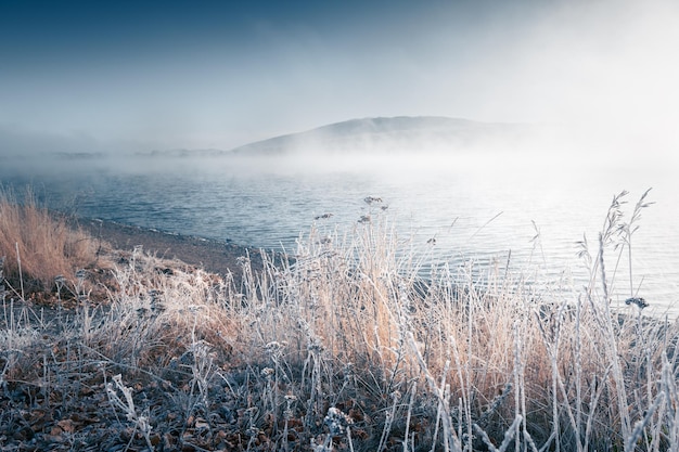 Met vorst bedekte planten aan de oever van het meer in mistige ochtend Selectieve aandacht Winterlandschap Bannoye-meer in de Zuid-Oeral, Rusland