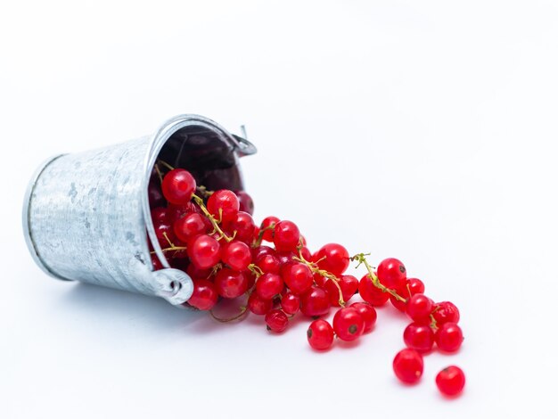 A metal basin filled with red currants.