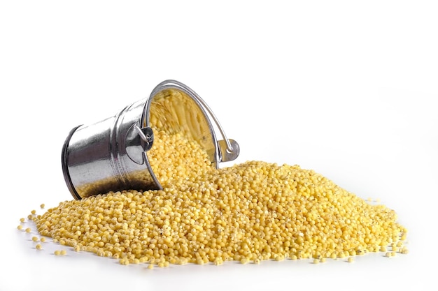 Metal bucket and millet isolated on white Agriculture