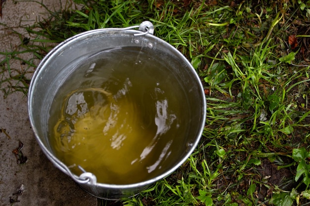 A metal bucket rainwater on background of green