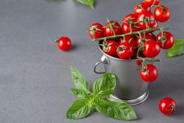 Metal bucket with red ripe cherry tomatoes