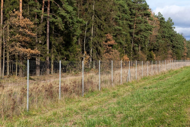 Metal fences near the forest, which protect animals from the carriageway