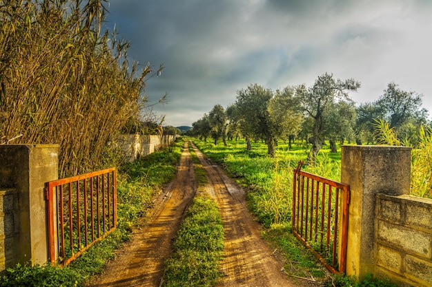 Metal gate open on a dirt path in the countryside