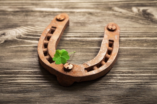 Metal horseshoe and clover leaf on wooden table