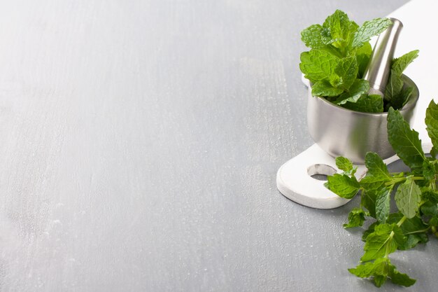 Metal mortar and pestle with fresh mint