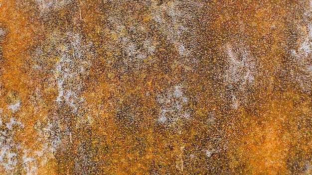Photo metal surface with rust texture. background for the designer