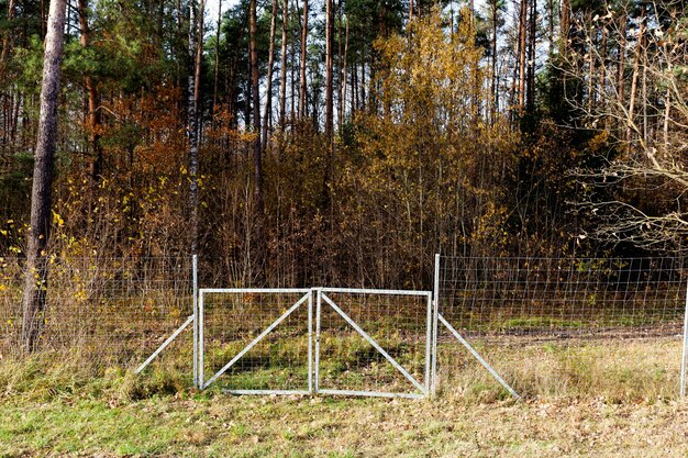 Metalen hekken bij het bos, die dieren beschermen tegen de rijbaan