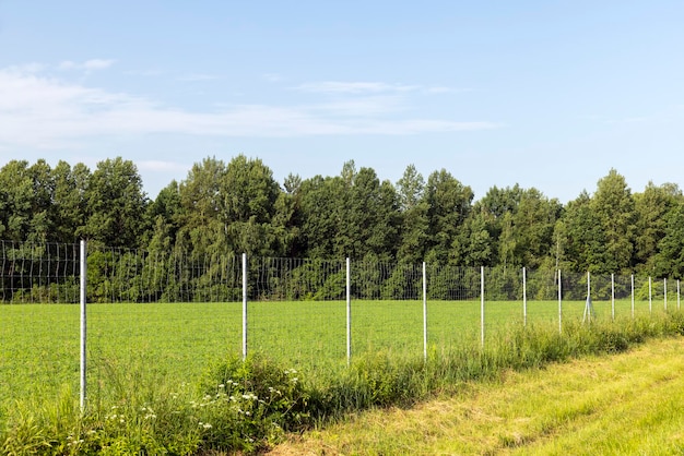 Metalen hekken voor de bescherming van dieren