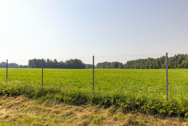 Metalen hekken voor dierenbescherming