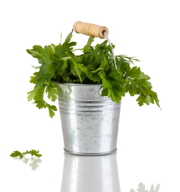 Metallic bucket with parsley and dill isolated on white