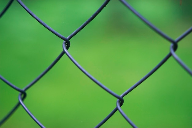 metallic fence with fresh summer grass on the background