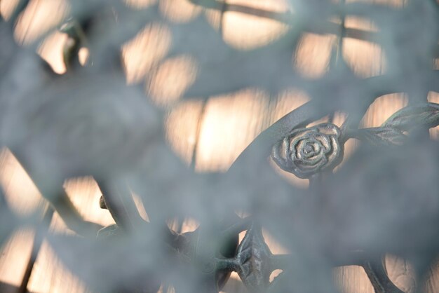 Photo metallic rose on fence