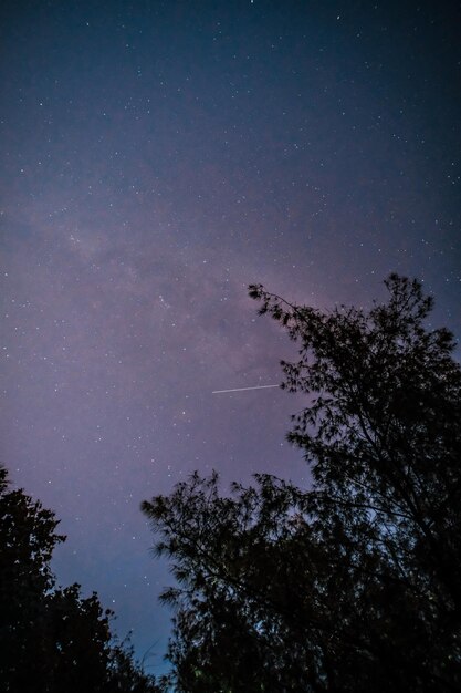 夜空の流星群