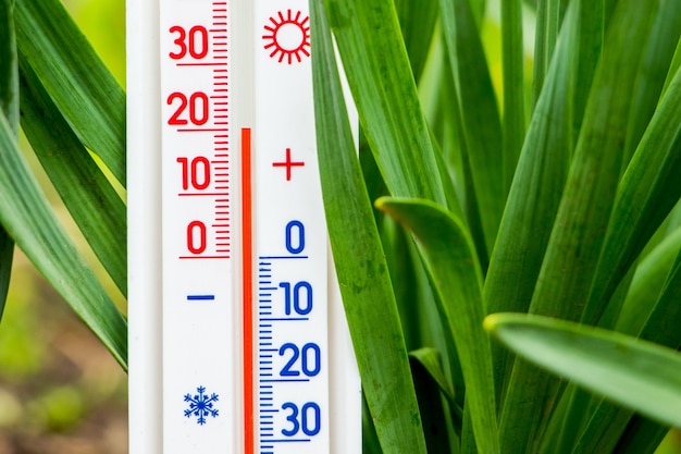 Meting van de luchttemperatuur op straat in de lente of zomer