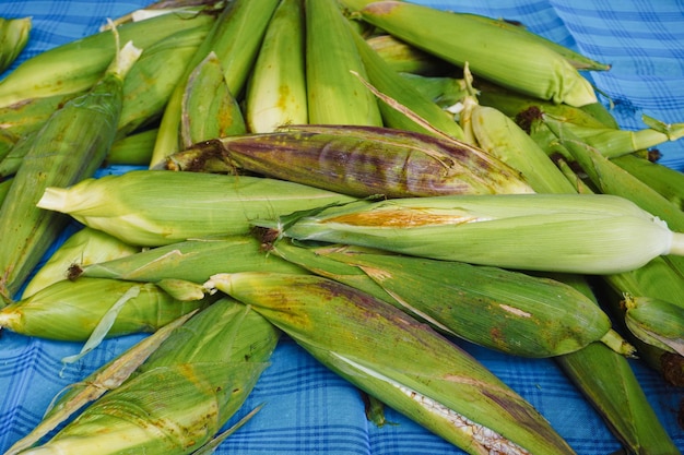 Foto mexicaanse biologische milpa