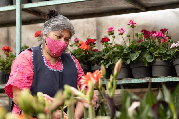 Mexicaanse vrouw die planten water geeft in kwekerij Xochimilco, Mexico, met gezichtsmasker, nieuw normaal