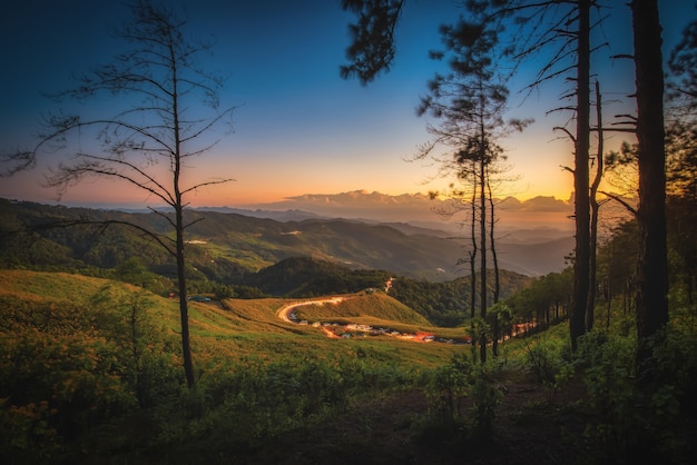 Mexicaanse zonnebloem (tung bua tong-bloem) op berg bij zonsondergang in de provincie van mae hong son, thailand.