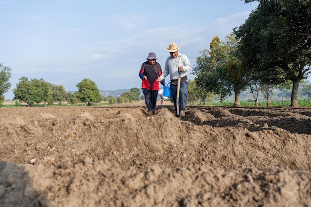 Mexican Farmer Preserving the Tradition of Bean Cultivation