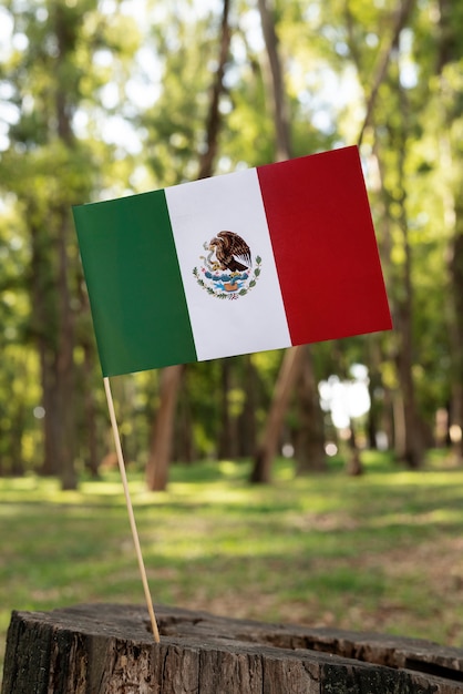 Mexican flag in nature front view