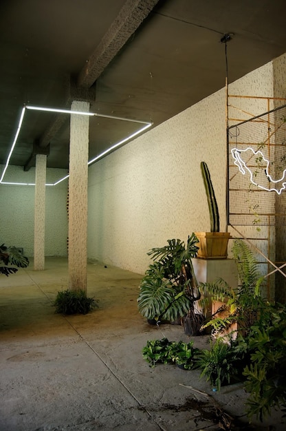 Mexican regionalist architecture neon light with the shape of the country of mexico cactus interior space