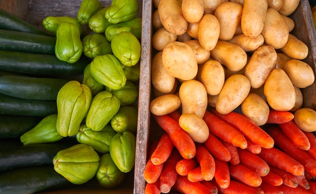 Chayote della carota delle verdure messicane chayote