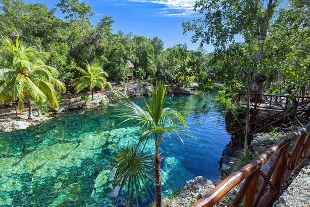 Mexico toeristische bestemming grotten en zwembaden van Cenote Casa Tortuga in de buurt van Tulum en Playa Del Carmen