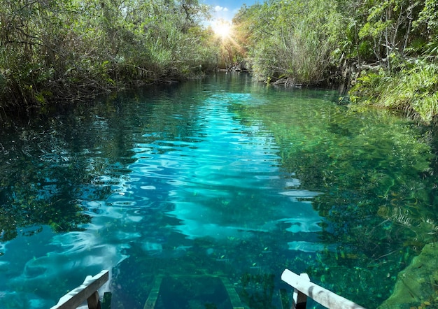 Mexico toeristische bestemming grotten en zwembaden van Cenote Escondido in de buurt van Tulum en Playa Del Carmen