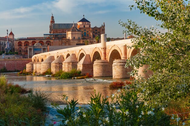 Mezquita and Roman bridge in Cordoba, Spain