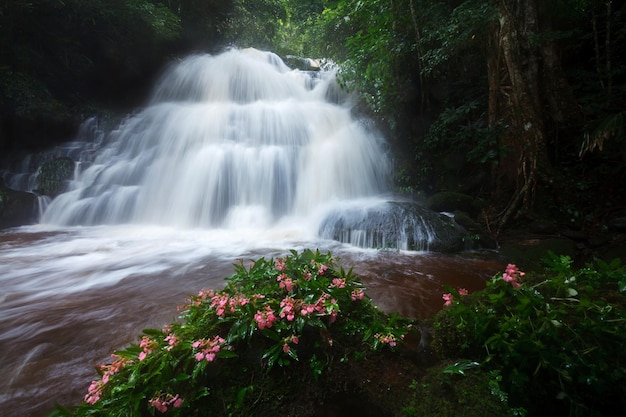 Mhundaeng 폭포 Phu Hin Rong Kla National Park at Phitsanulok Thailand