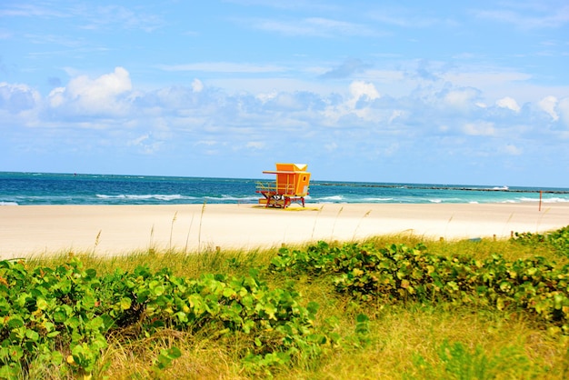 Miami beach florida usa sunrise and life guard tower sandy tropical scene