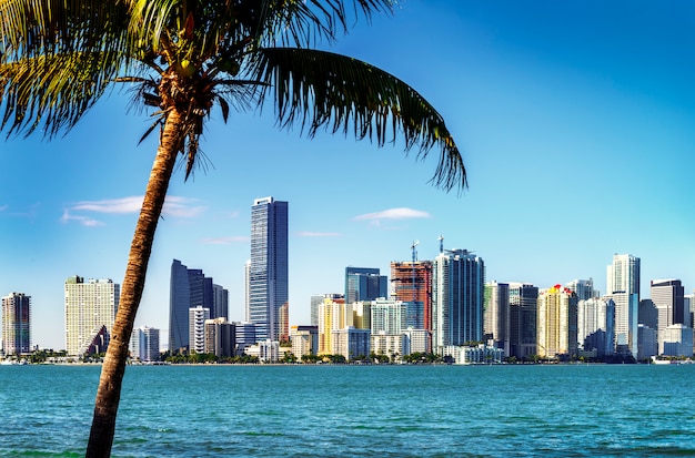 Foto skyline di miami downtown