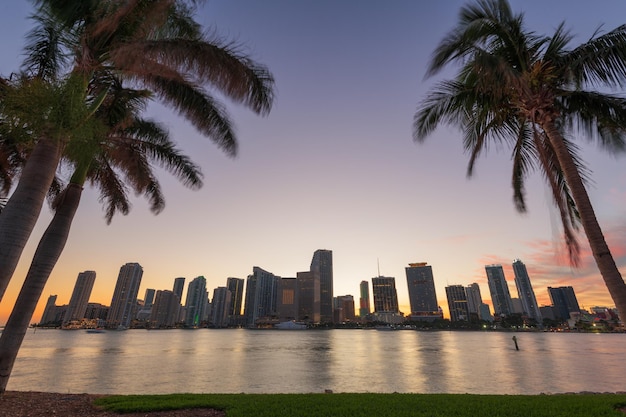 Miami Florida USA skyline op Biscayne Bay met Palms