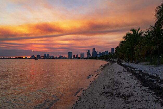 Miami skyline van de stad panorama met stedelijke wolkenkrabbers over zee met