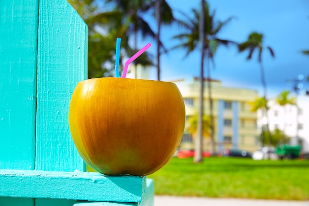 Miami South Beach 2 straws coconut Florida