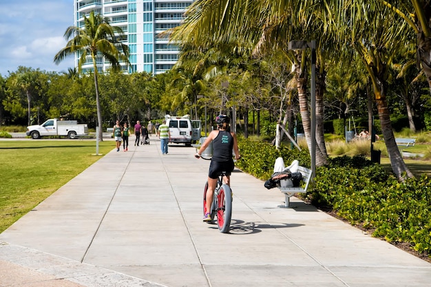 Miami, USA-February 2, 2016: idyllic street with green palms.against blue cloudy sky at Miami, south beach