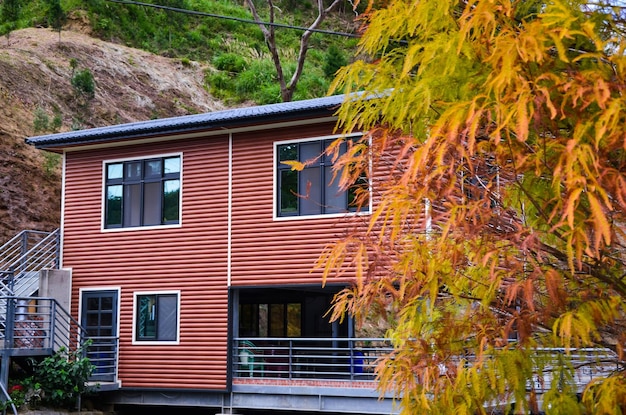 Miaoli Taiwan JAN 01 2019Cabin in the Taxodium distichum tree