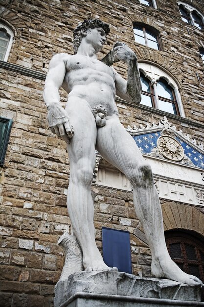 Michelangelo's David in Florence Italy