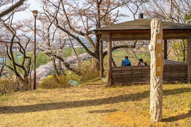 Michinoku Folklore Village in de lente zonnige dag Kitakami Tenshochi Park kersenbloesems