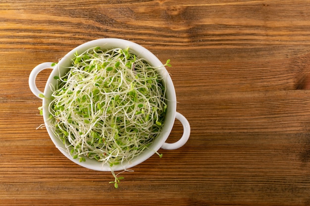 Micro green sprouts in white bowl