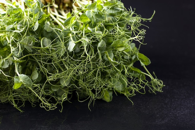 Micro greens on a black background