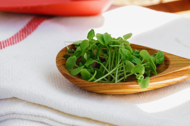 Foto micro greens in houten lepel op katoenen servet