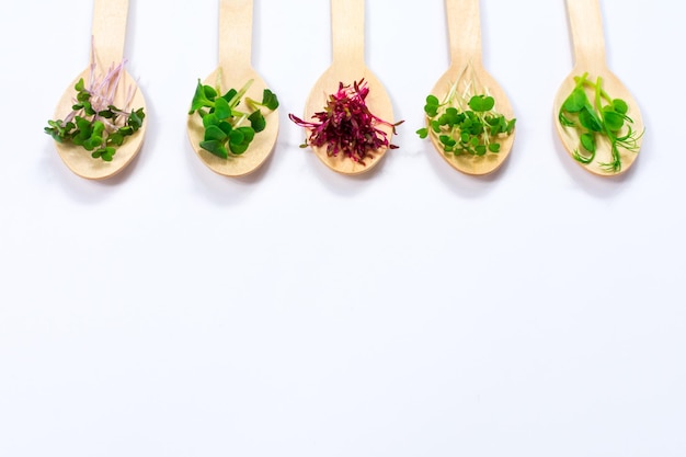 Micro greens of peas red cabbage amaranth mustard radish in assortment on wooden spoons on a white background Proper vegan food Place for an inscription