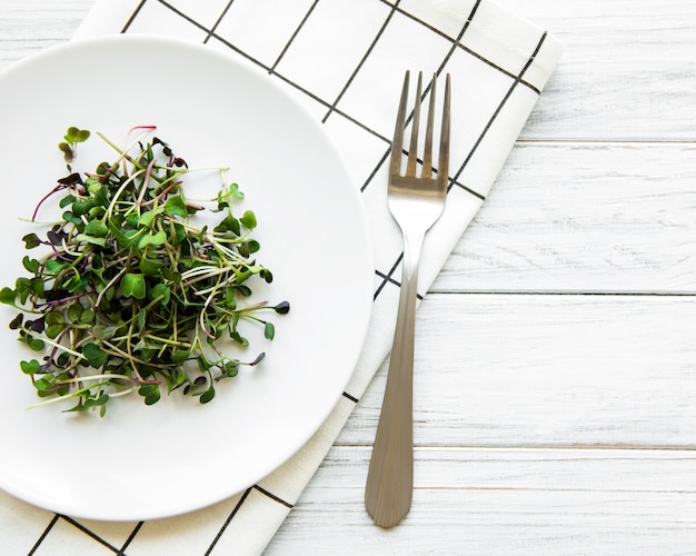 Micro greens in a plate on a white, top view