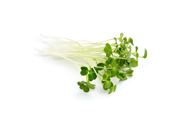 Micro greens rucola spruiten geïsoleerd op wit