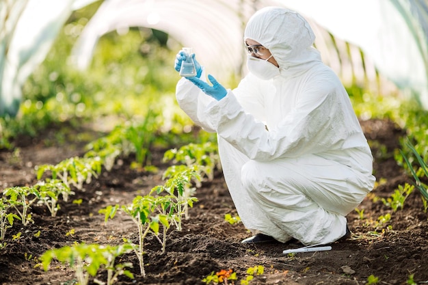 Microbiologist adds fertilizer to the soil The concept of soil quality and farming